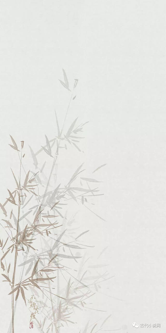 星空·综合体育