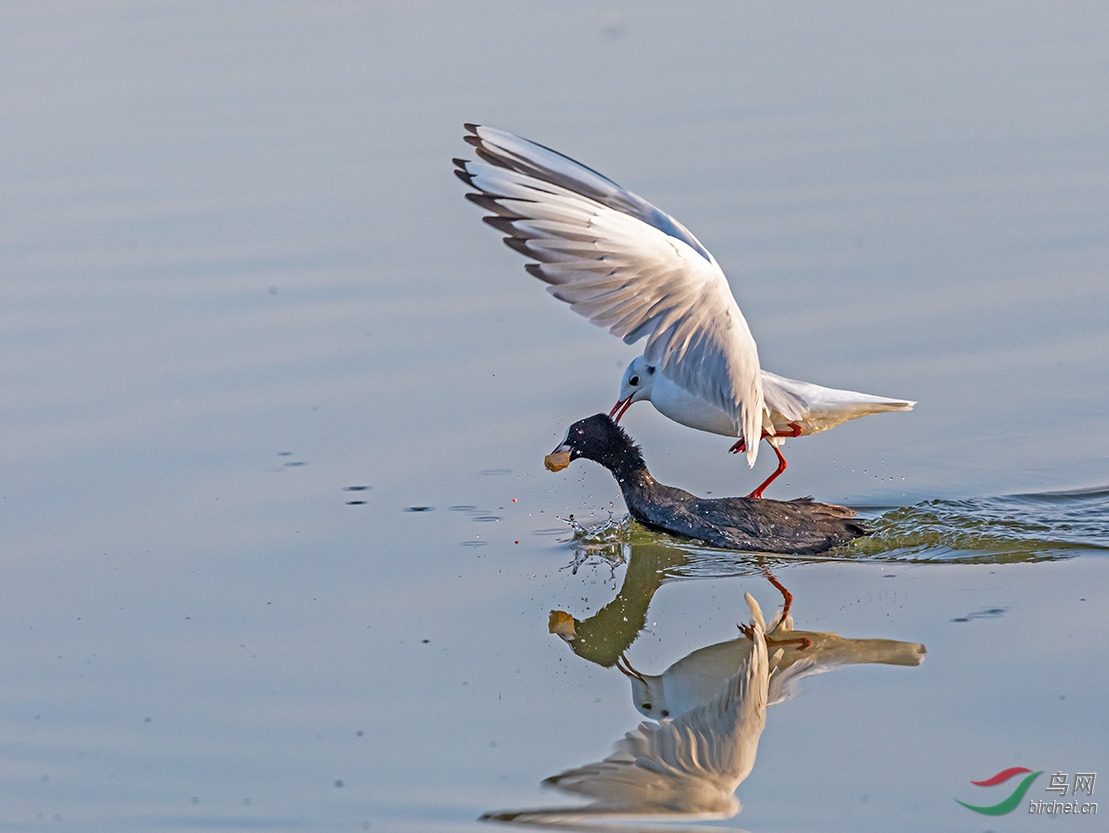 星空·综合体育