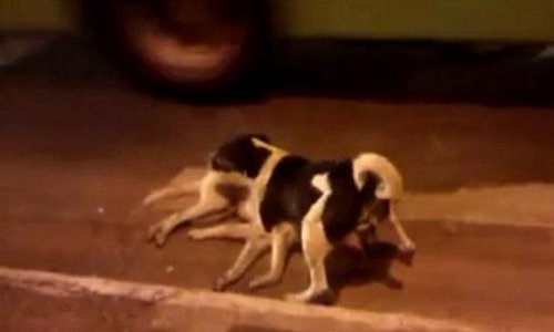 【星空·综合体育】本科教学工作审核评估专家组进驻我校并开始工作(图2) 星空·综合体育