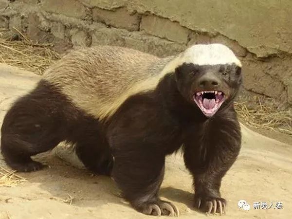 ‘星空·综合体育’我校召开自主设置二级学科专家评审会(图2) 星空·综合体育