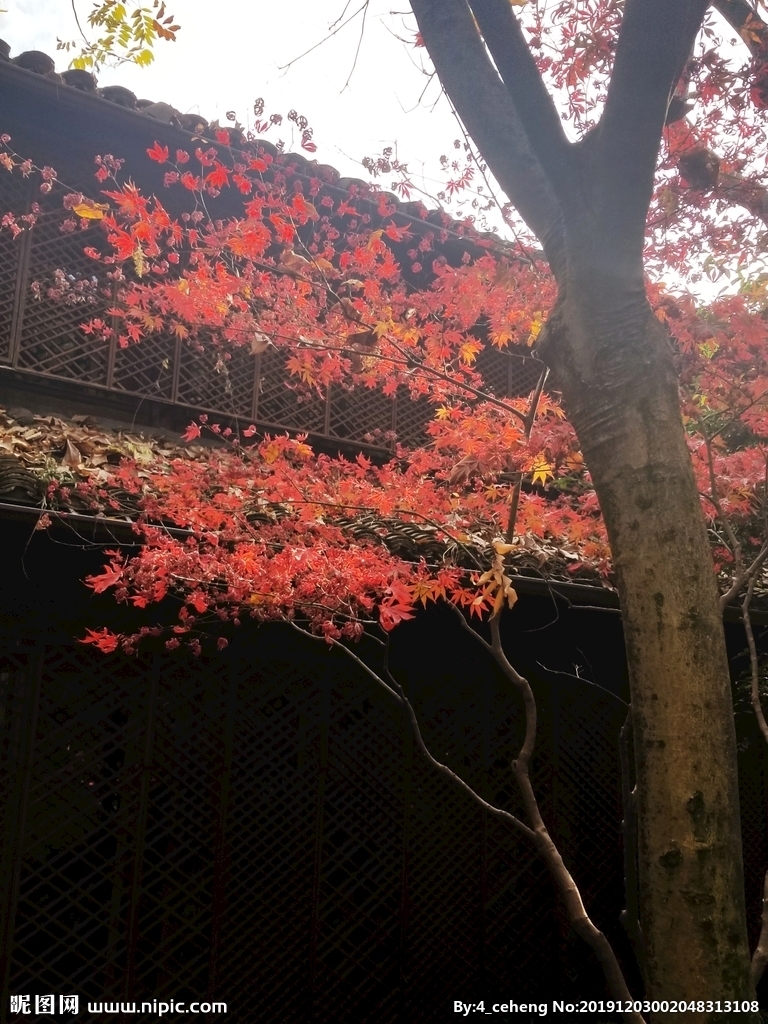 星空·综合体育