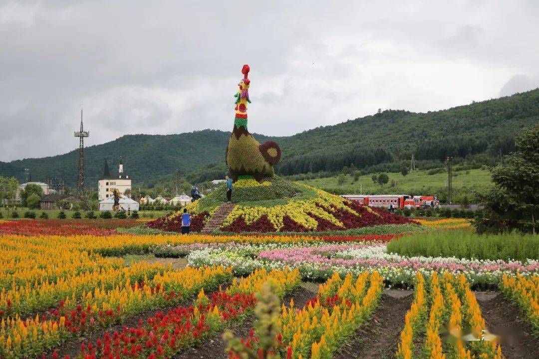 *
伊春森工朗乡林业局有限责任公司花海景区歇业通告:星空综合(图2) *
伊春森工朗乡林业局有限责任公司花海景区歇业通告:星空综合(图2)